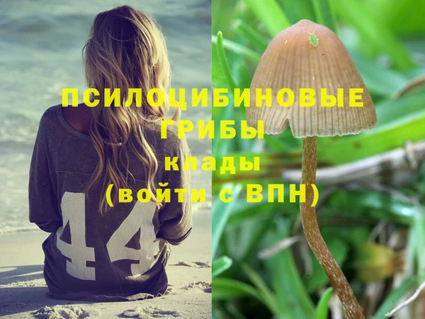 соль курить ск Алексеевка