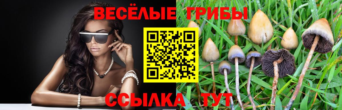 купить наркоту  Галлюциногенные грибы мухоморы  Вход с VPN  Балашов 