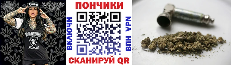 Бошки марихуана марихуана что такое Балашов