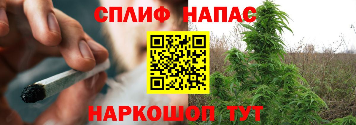 МАРИХУАНА планчик Балашов